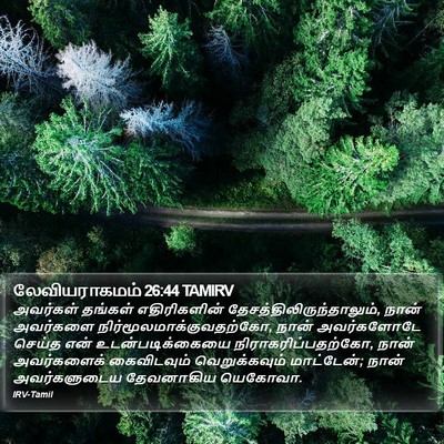 லேவியராகமம் 26:44 TAMIRV Bible Verse Image