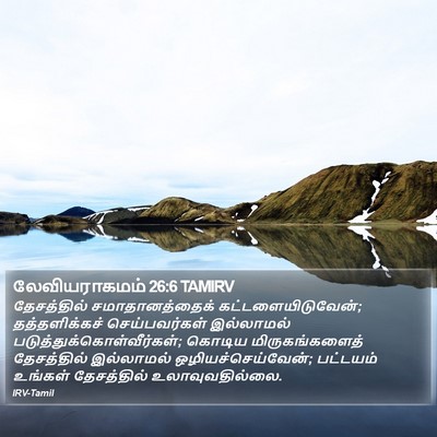 லேவியராகமம் 26:6 TAMIRV Bible Verse Image