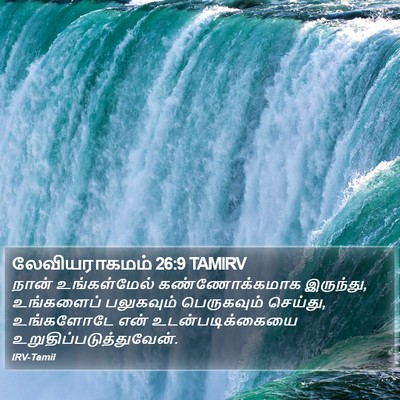 லேவியராகமம் 26:9 TAMIRV Bible Verse Image