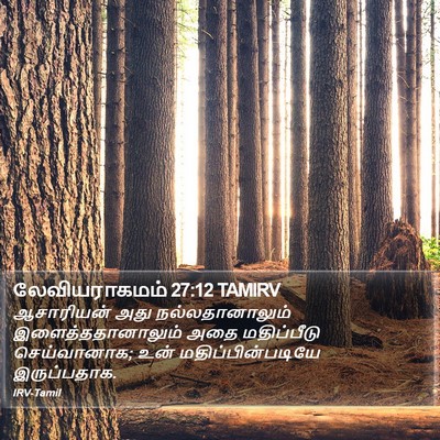 லேவியராகமம் 27:12 TAMIRV Bible Verse Image