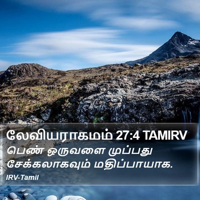 லேவியராகமம் 27:4 TAMIRV Bible Verse Image