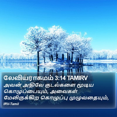 லேவியராகமம் 3:14 TAMIRV Bible Verse Image