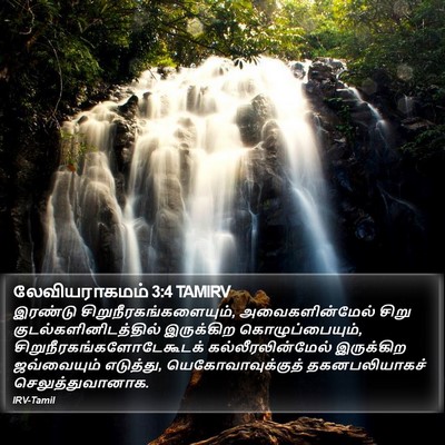 லேவியராகமம் 3:4 TAMIRV Bible Verse Image