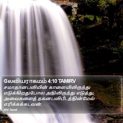 லேவியராகமம் 4:10 TAMIRV Bible Verse Image