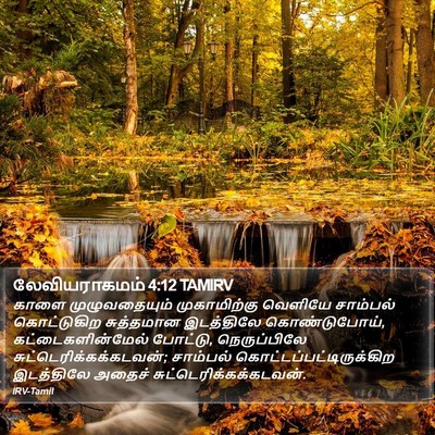 லேவியராகமம் 4:12 TAMIRV Bible Verse Image
