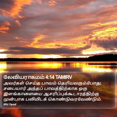 லேவியராகமம் 4:14 TAMIRV Bible Verse Image