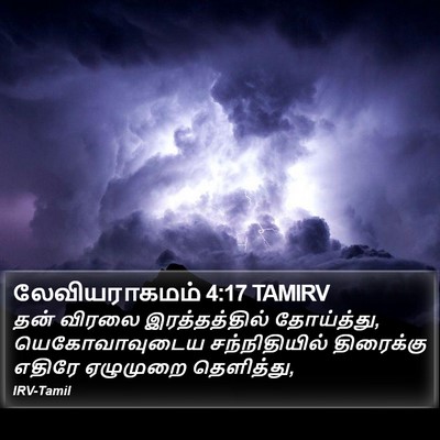 லேவியராகமம் 4:17 TAMIRV Bible Verse Image