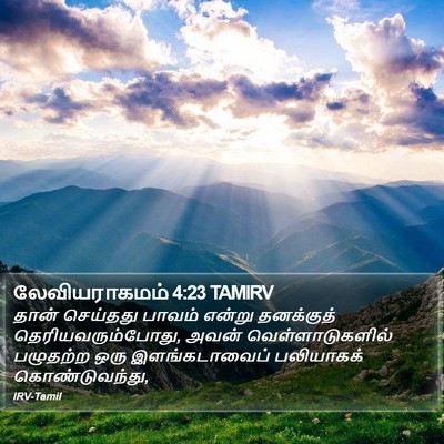 லேவியராகமம் 4:23 TAMIRV Bible Verse Image