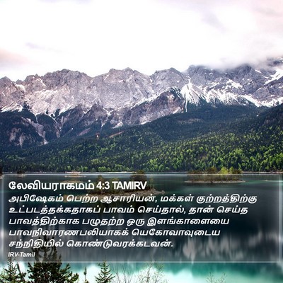 லேவியராகமம் 4:3 TAMIRV Bible Verse Image