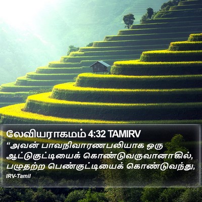 லேவியராகமம் 4:32 TAMIRV Bible Verse Image