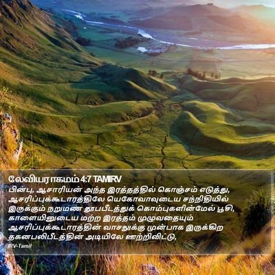 லேவியராகமம் 4:7 TAMIRV Bible Verse Image