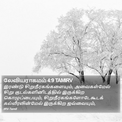 லேவியராகமம் 4:9 TAMIRV Bible Verse Image