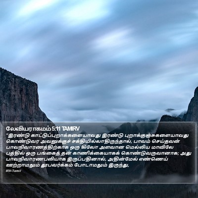 லேவியராகமம் 5:11 TAMIRV Bible Verse Image