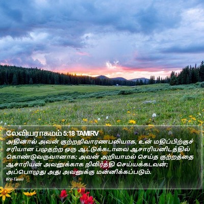 லேவியராகமம் 5:18 TAMIRV Bible Verse Image