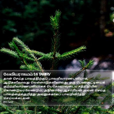லேவியராகமம் 5:6 TAMIRV Bible Verse Image