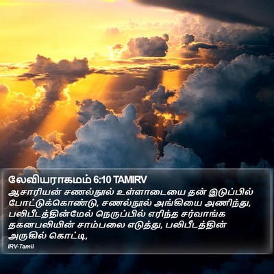 லேவியராகமம் 6:10 TAMIRV Bible Verse Image