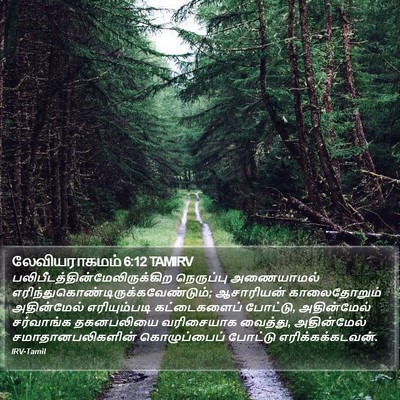 லேவியராகமம் 6:12 TAMIRV Bible Verse Image