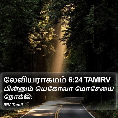 லேவியராகமம் 6:24 TAMIRV Bible Verse Image