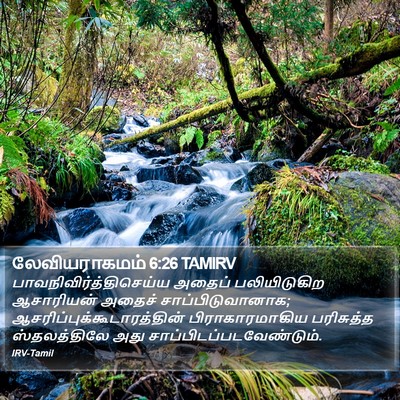 லேவியராகமம் 6:26 TAMIRV Bible Verse Image