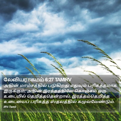 லேவியராகமம் 6:27 TAMIRV Bible Verse Image