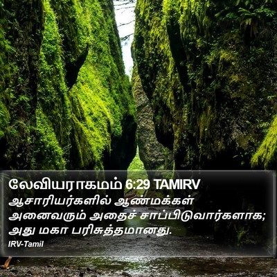 லேவியராகமம் 6:29 TAMIRV Bible Verse Image