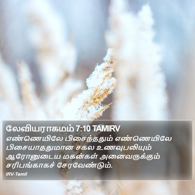 லேவியராகமம் 7:10 TAMIRV Bible Verse Image