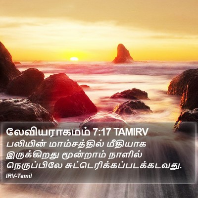 லேவியராகமம் 7:17 TAMIRV Bible Verse Image