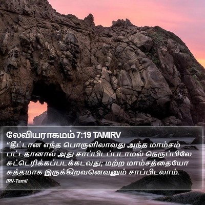 லேவியராகமம் 7:19 TAMIRV Bible Verse Image