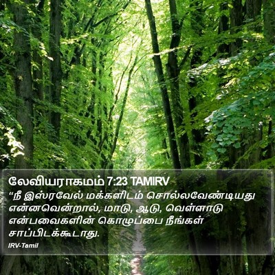 லேவியராகமம் 7:23 TAMIRV Bible Verse Image