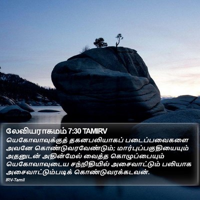 லேவியராகமம் 7:30 TAMIRV Bible Verse Image
