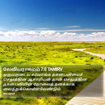 லேவியராகமம் 7:8 TAMIRV Bible Verse Image