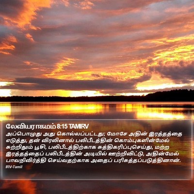 லேவியராகமம் 8:15 TAMIRV Bible Verse Image