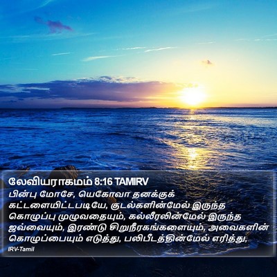 லேவியராகமம் 8:16 TAMIRV Bible Verse Image