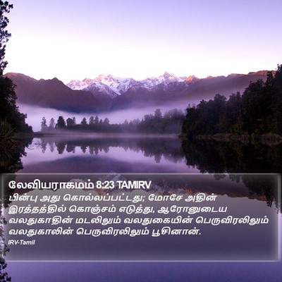 லேவியராகமம் 8:23 TAMIRV Bible Verse Image