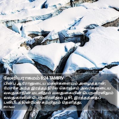 லேவியராகமம் 8:24 TAMIRV Bible Verse Image