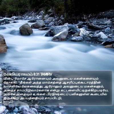 லேவியராகமம் 8:31 TAMIRV Bible Verse Image
