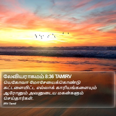 லேவியராகமம் 8:36 TAMIRV Bible Verse Image
