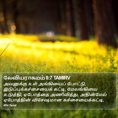 லேவியராகமம் 8:7 TAMIRV Bible Verse Image