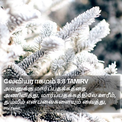 லேவியராகமம் 8:8 TAMIRV Bible Verse Image
