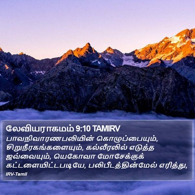 லேவியராகமம் 9:10 TAMIRV Bible Verse Image