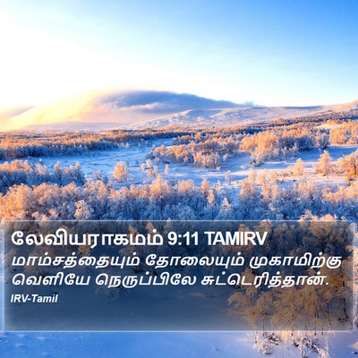 லேவியராகமம் 9:11 TAMIRV Bible Verse Image