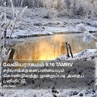 லேவியராகமம் 9:16 TAMIRV Bible Verse Image