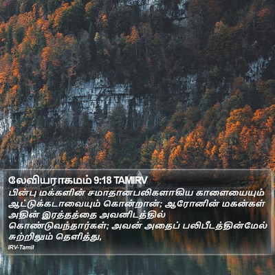 லேவியராகமம் 9:18 TAMIRV Bible Verse Image