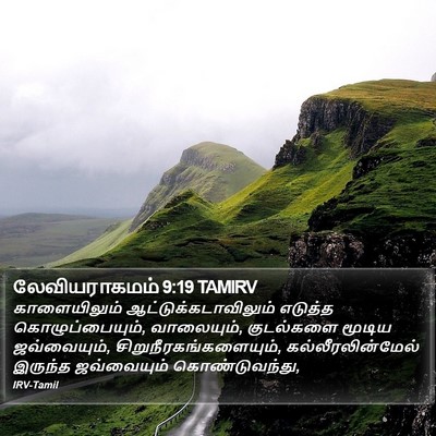 லேவியராகமம் 9:19 TAMIRV Bible Verse Image