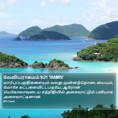 லேவியராகமம் 9:21 TAMIRV Bible Verse Image