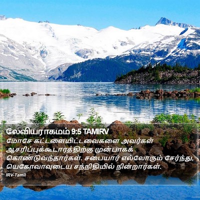 லேவியராகமம் 9:5 TAMIRV Bible Verse Image