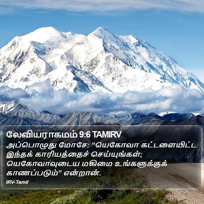 லேவியராகமம் 9:6 TAMIRV Bible Verse Image
