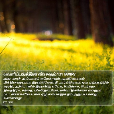 வெளிப்படுத்தின விசேஷம் 1:11 TAMIRV Bible Verse Image