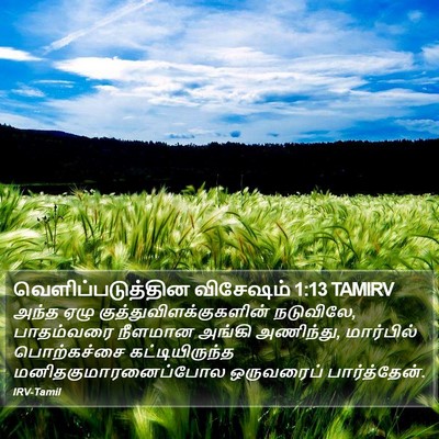 வெளிப்படுத்தின விசேஷம் 1:13 TAMIRV Bible Verse Image