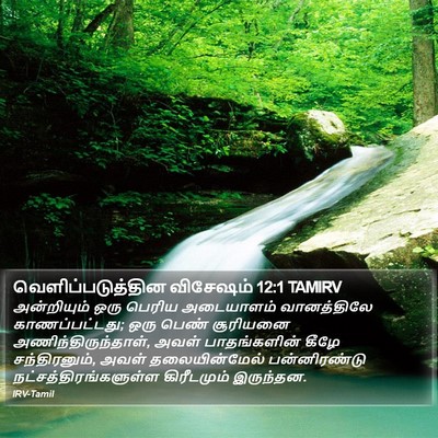 வெளிப்படுத்தின விசேஷம் 12:1 TAMIRV Bible Verse Image